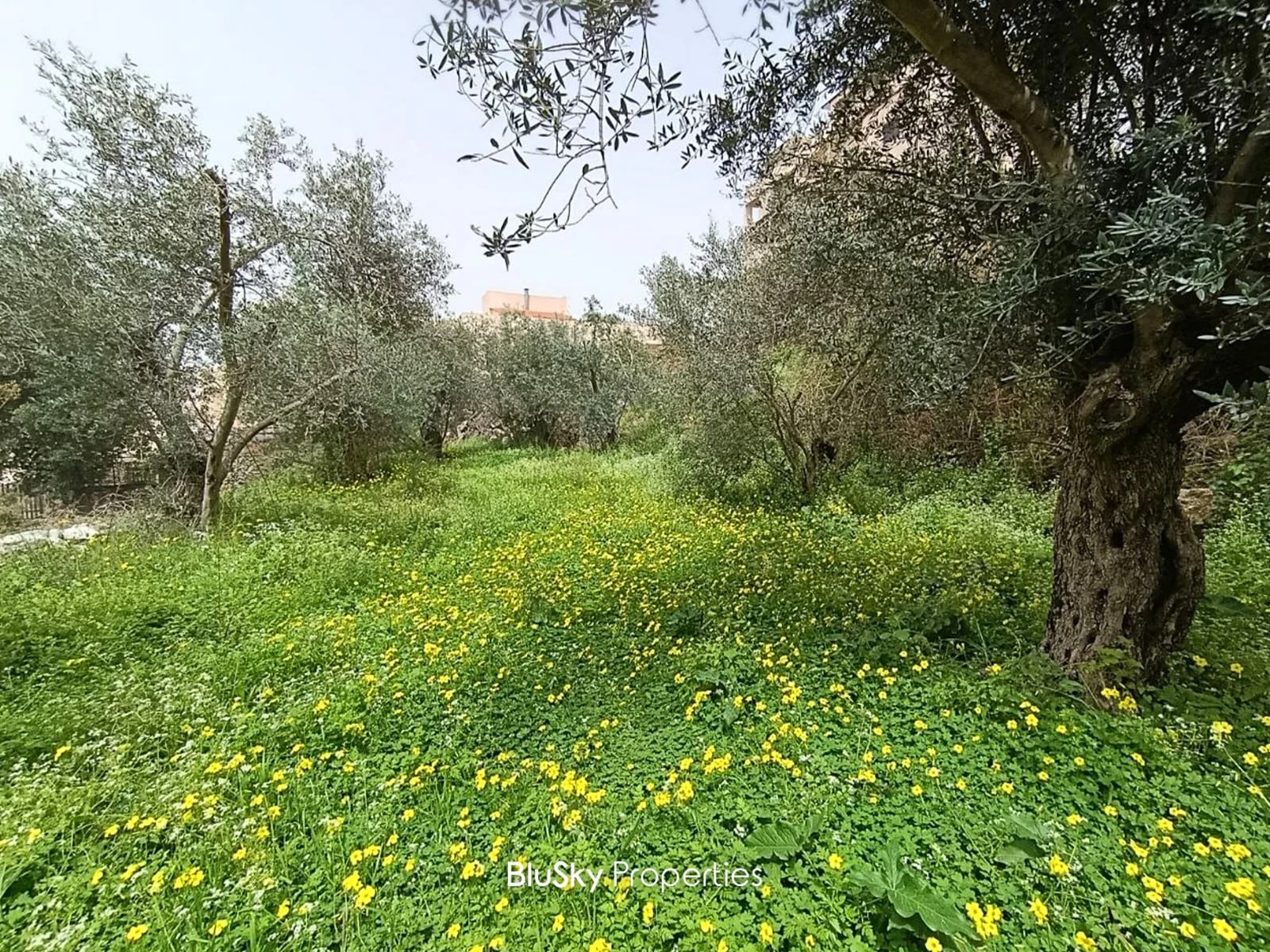 Stand Alone House 230m² with Land for Sale in Kfarmashoun — الصورة 3