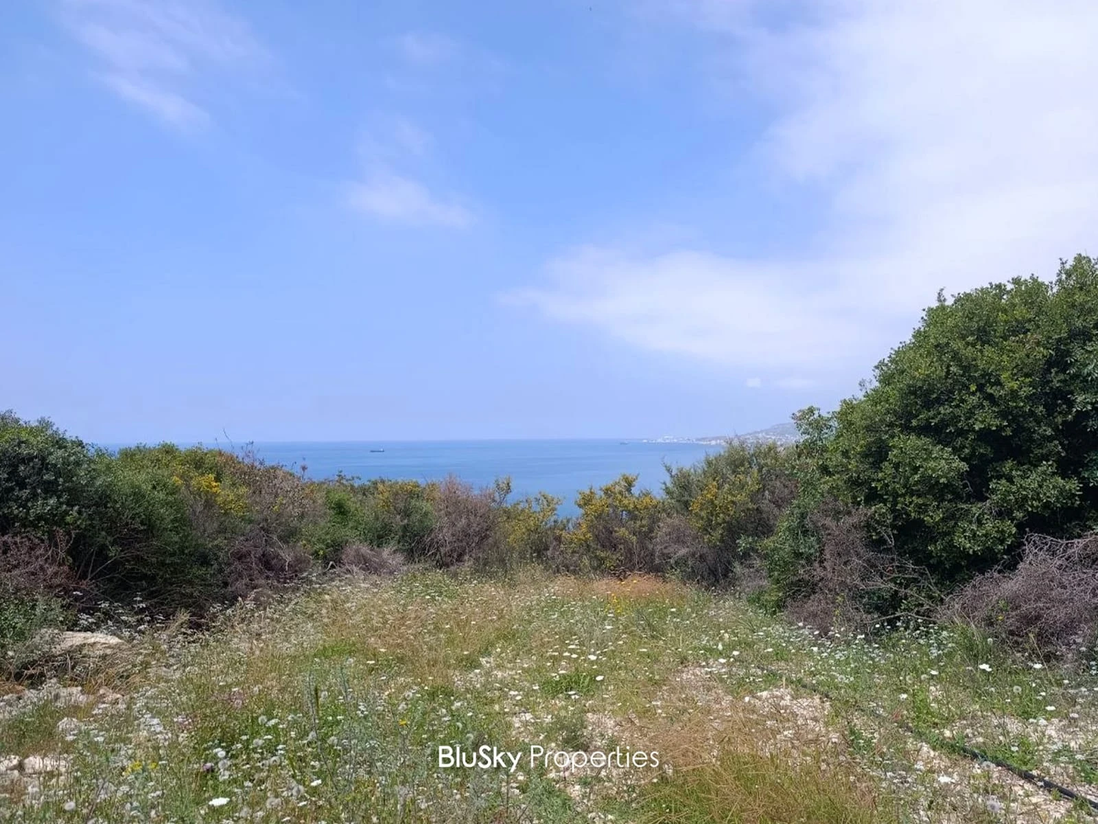 Land 3,104m² for Sale in Kfarkeddeh