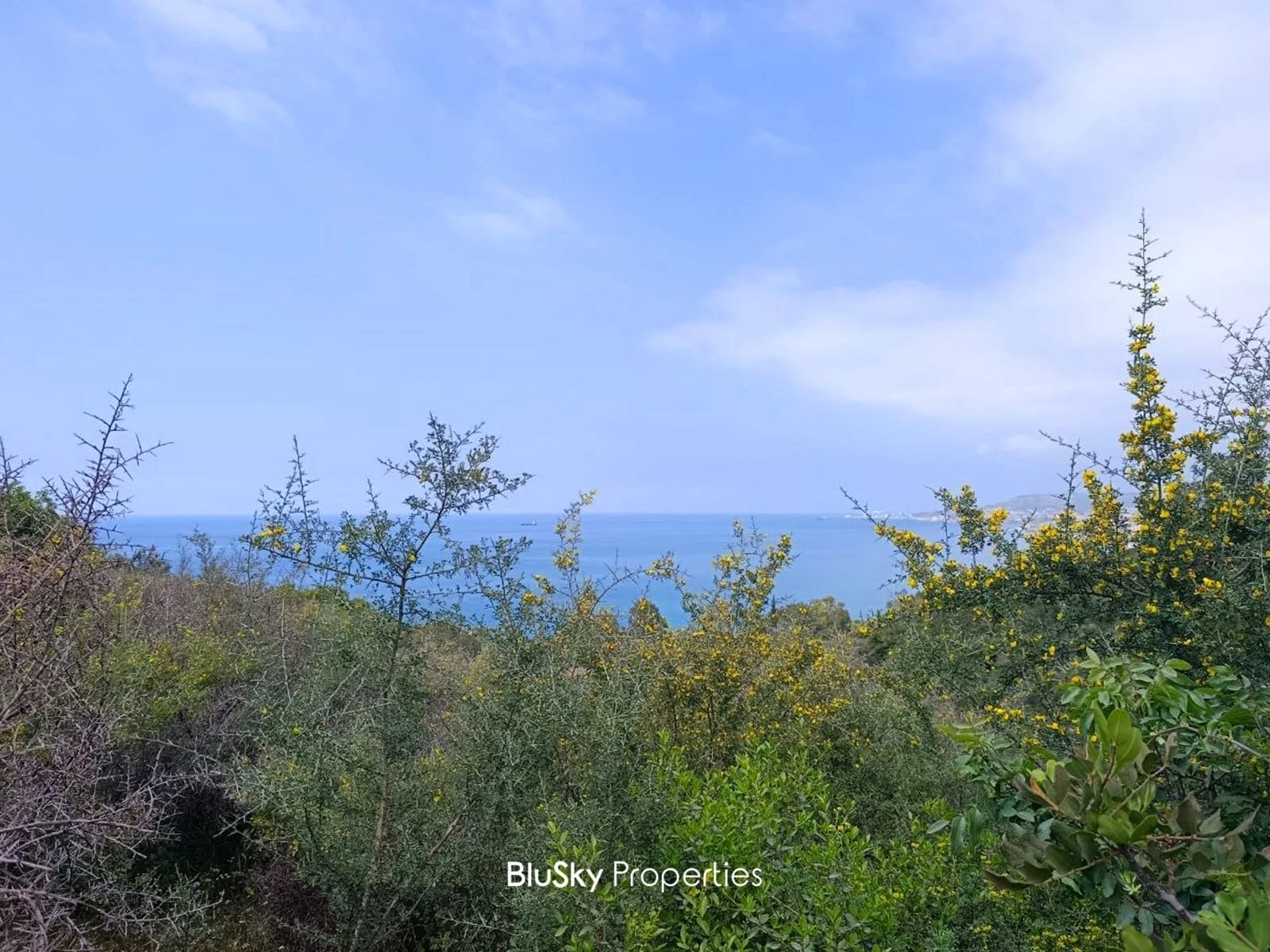 Land 3,104m² for Sale in Kfarkeddeh — photo 2