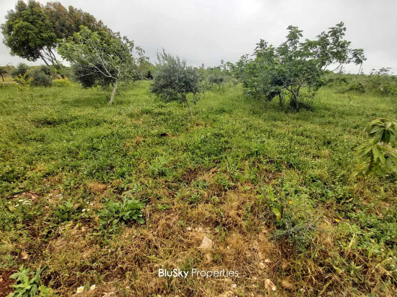 Prefab House with Land for Sale in Maad — photo 3