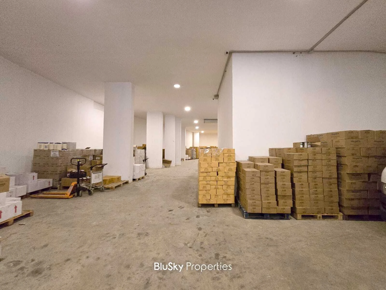 Warehouse 1,100m² for Sale in Mansourieh — photo 2