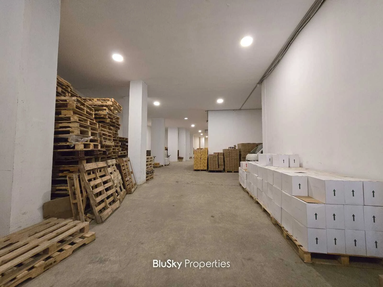 Warehouse 1,100m² for Sale in Mansourieh — photo 3