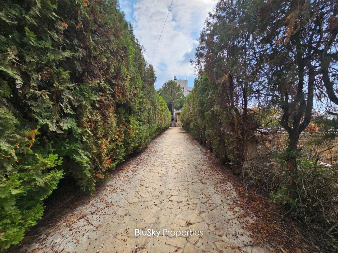 Land 3,000m² for Rent in Mansourieh — photo 3