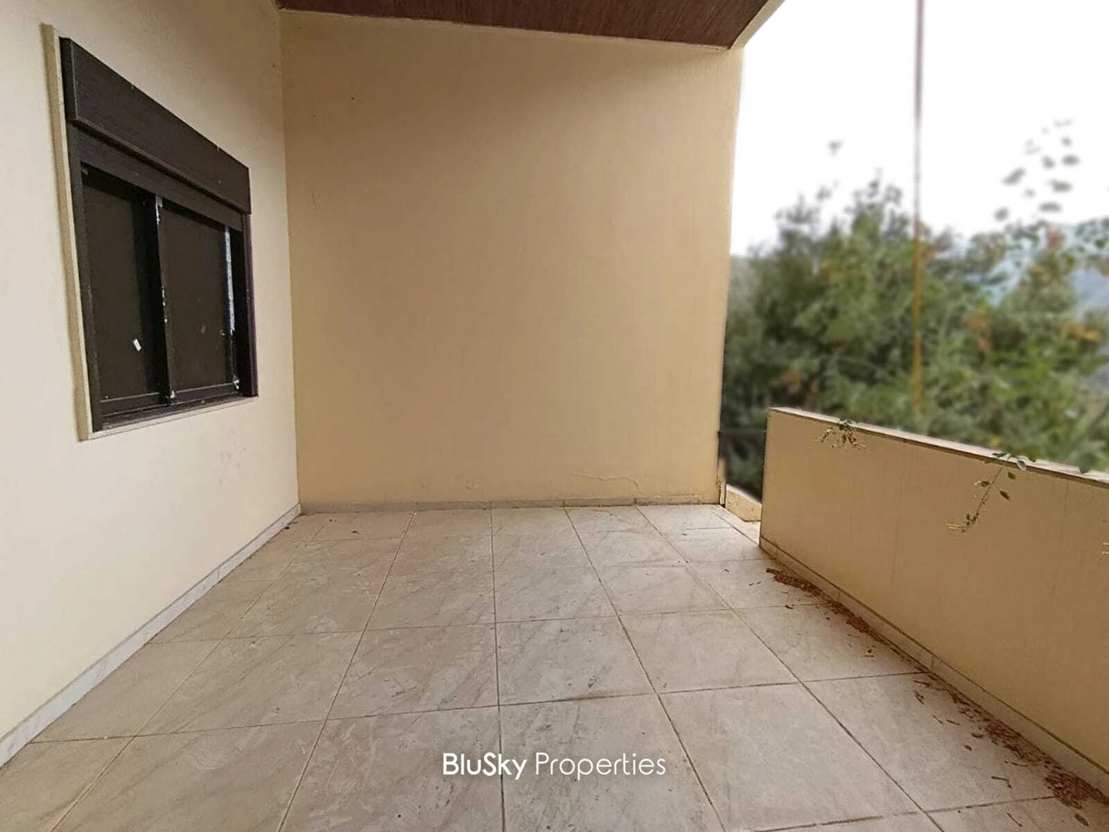 Duplex 400m² Balcony for Sale in Mastita — photo 2