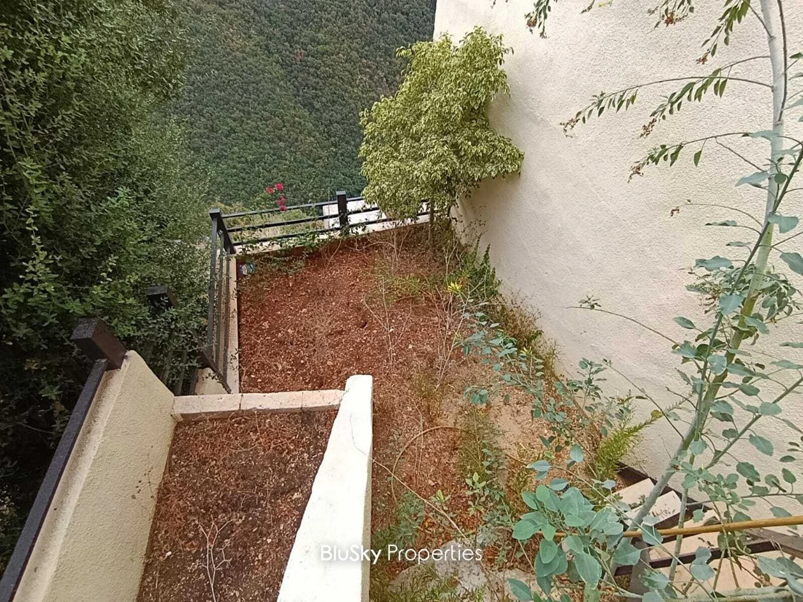 Duplex 400m² Balcony for Sale in Mastita — photo 5