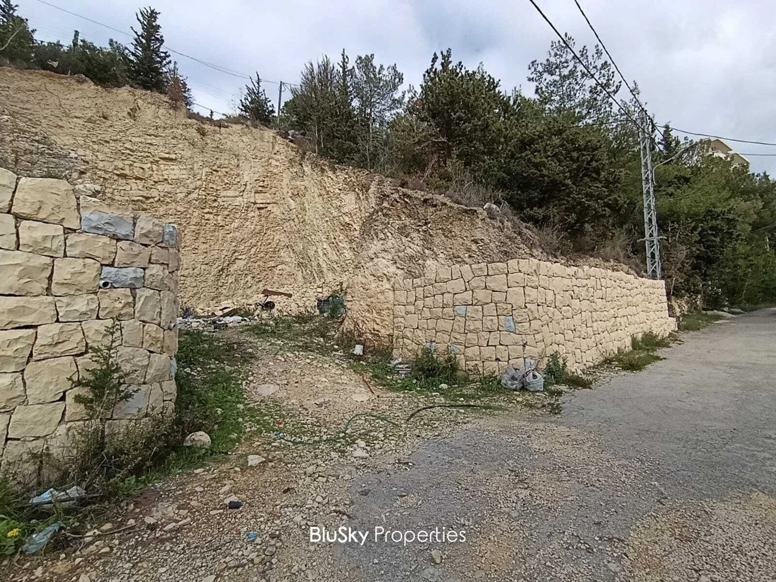 Land 780m² for Sale in Mastita — الصورة 2