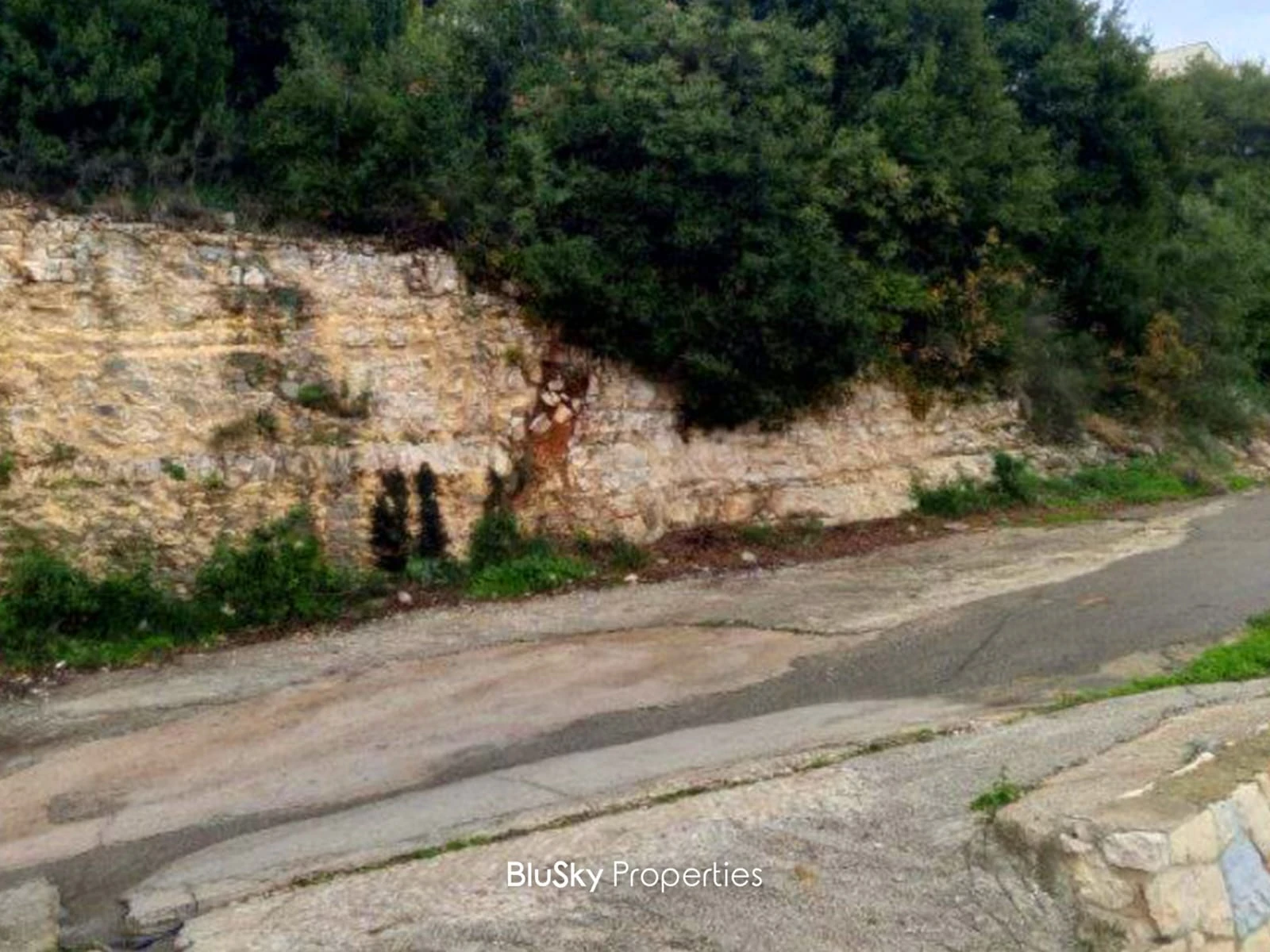 Land 890m² for Sale in Mastita — photo 2