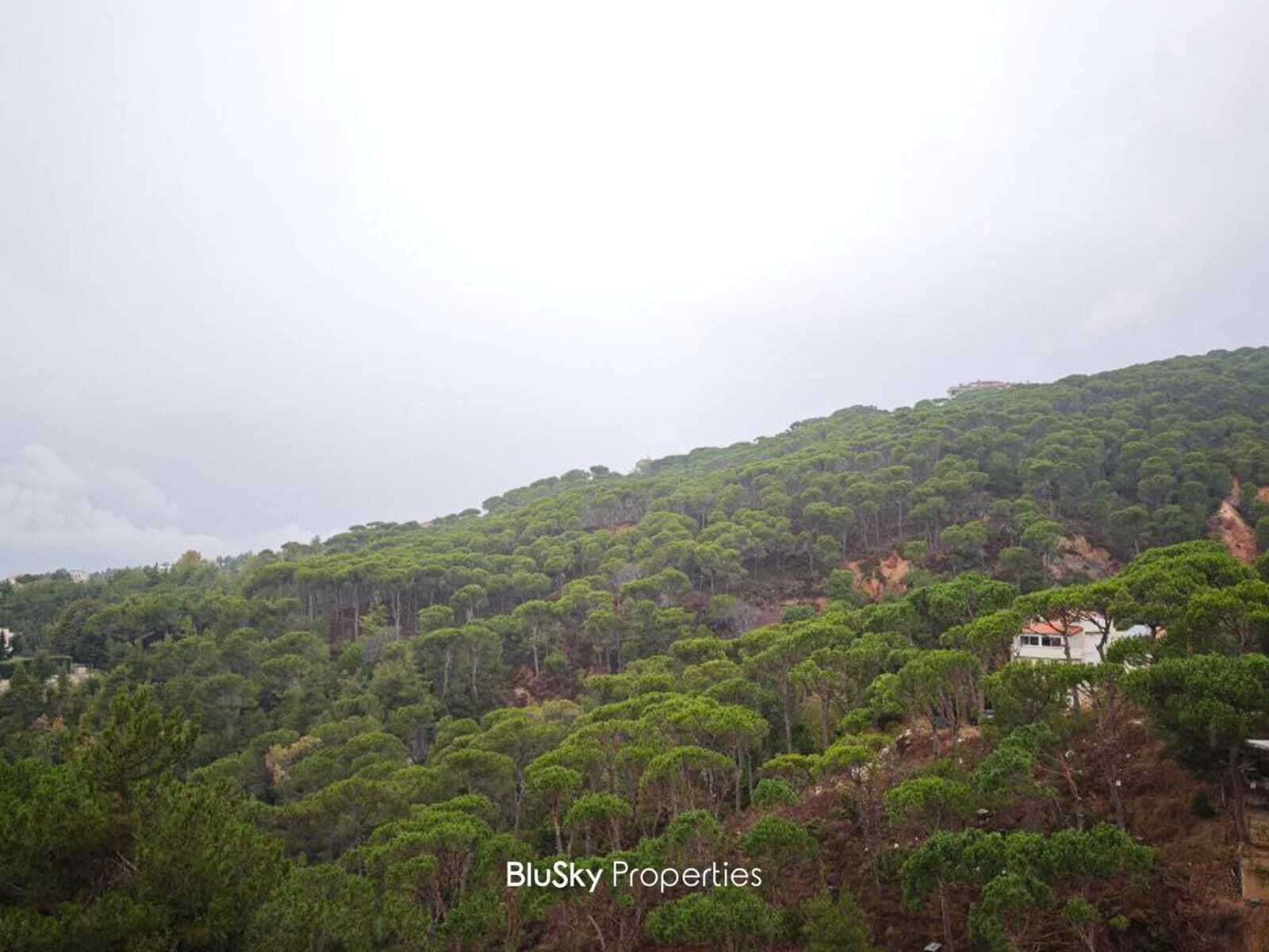 Apartment 135m² Balcony for Rent in Mar Moussa — photo 3
