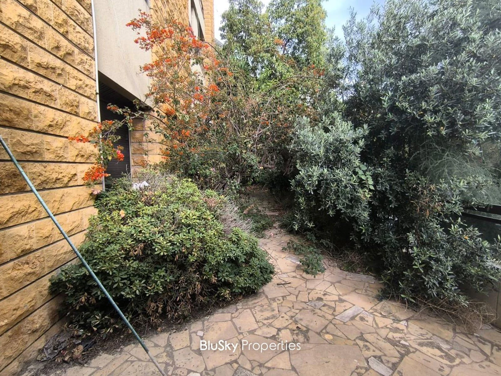 Apartment 400m² Terrace for Sale in Naccache — photo 3