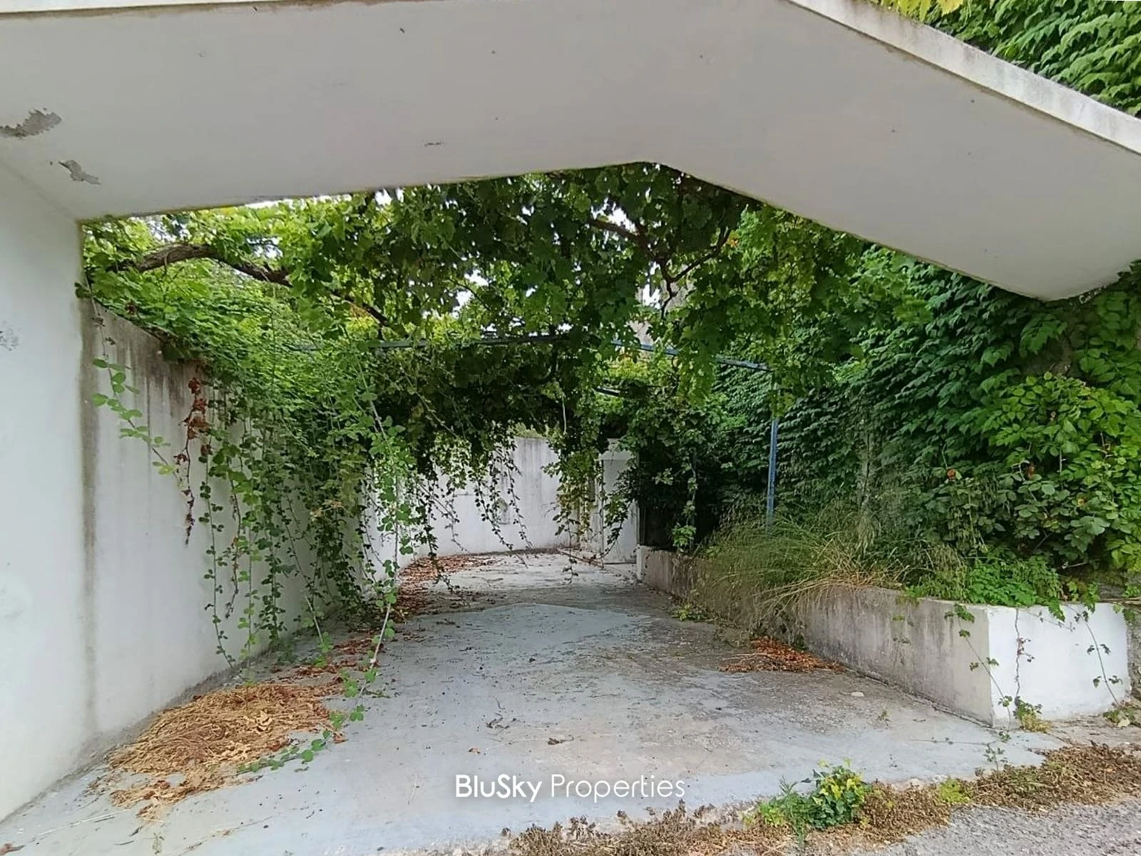 Building 250m² with Land for Sale in Nammoura