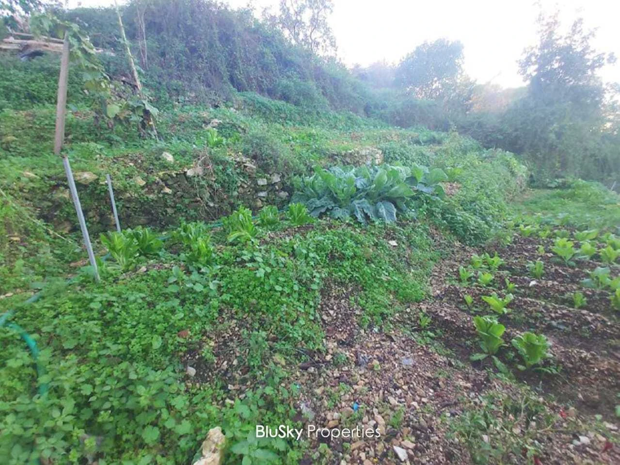 Land 625m² for Sale in Nammoura