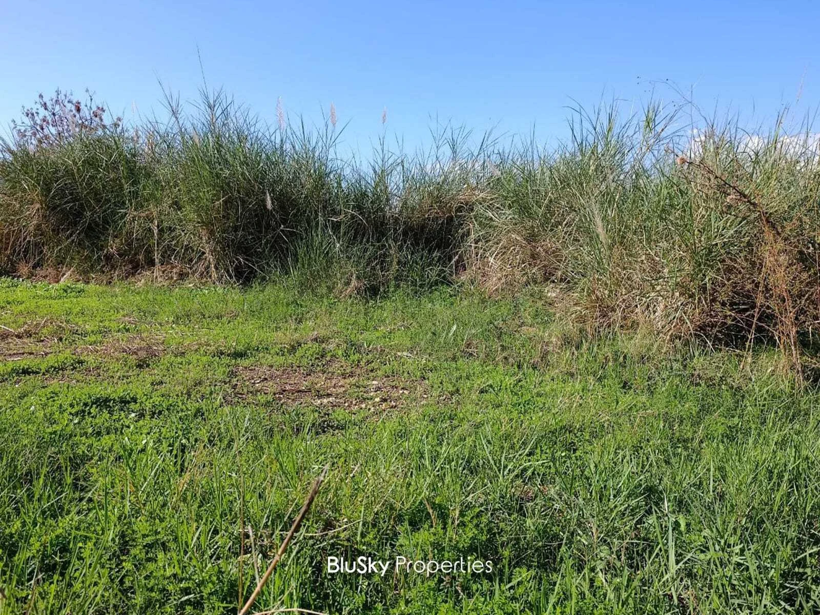 Land 656m² for Sale in Naher Ibrahim — photo 2