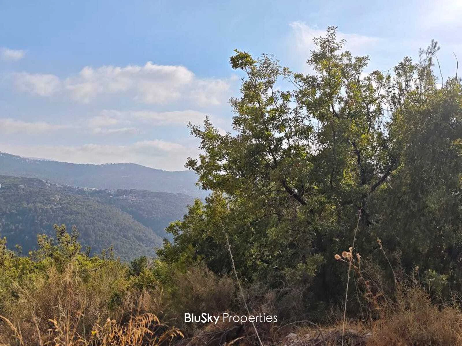 Land 1,300m² for Sale in Ouyoun Broumana