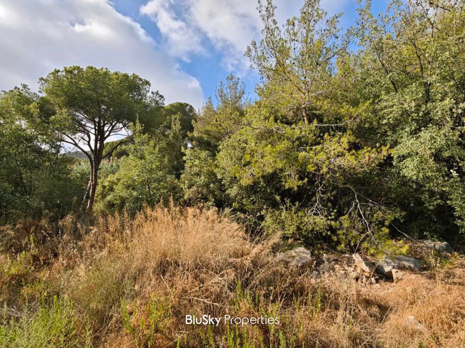 Land 1,300m² for Sale in Ouyoun Broumana — photo 2