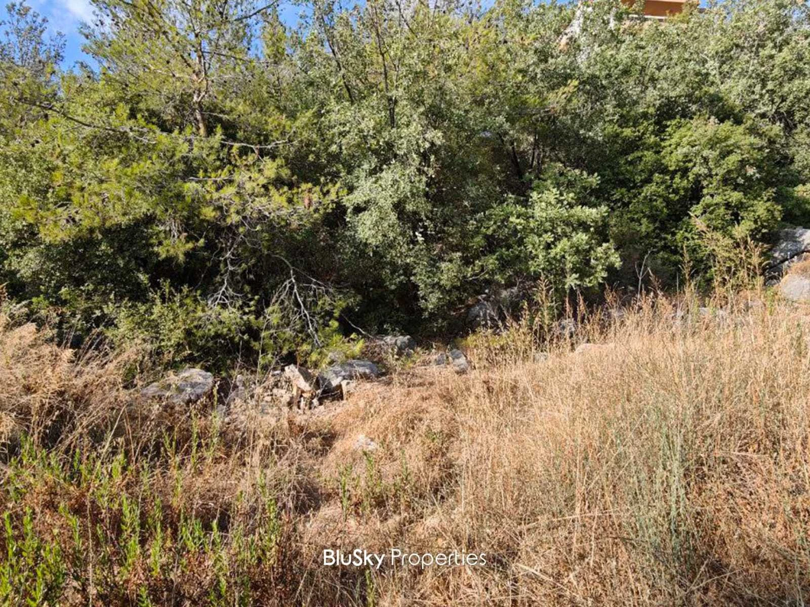Land 1,300m² for Sale in Ouyoun Broumana — photo 3