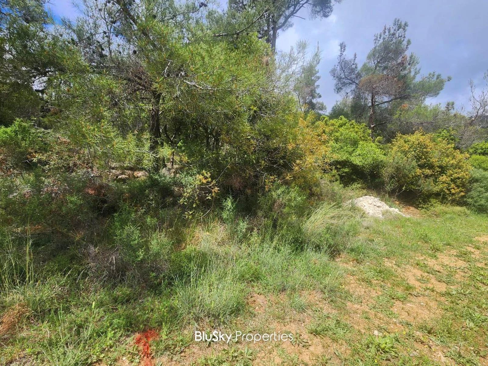 Land 1,380m² for Sale in Ouyoun Broumana — photo 2