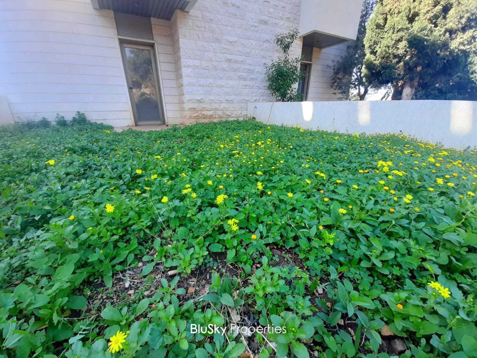 Apartment 150m² Garden for Sale in Okaibe — الصورة 3