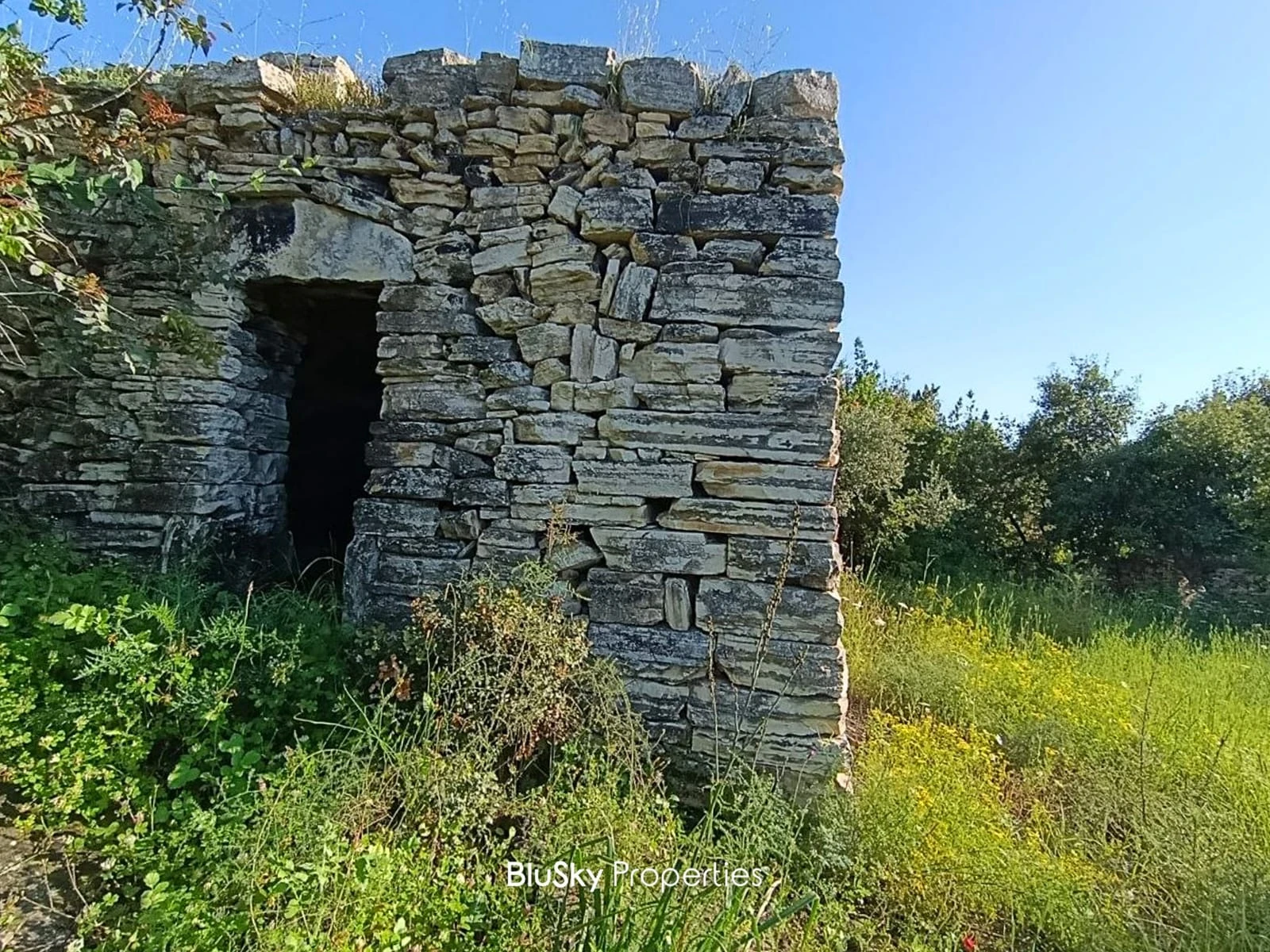 Land 6,928m² for Sale in Okaibe — photo 3