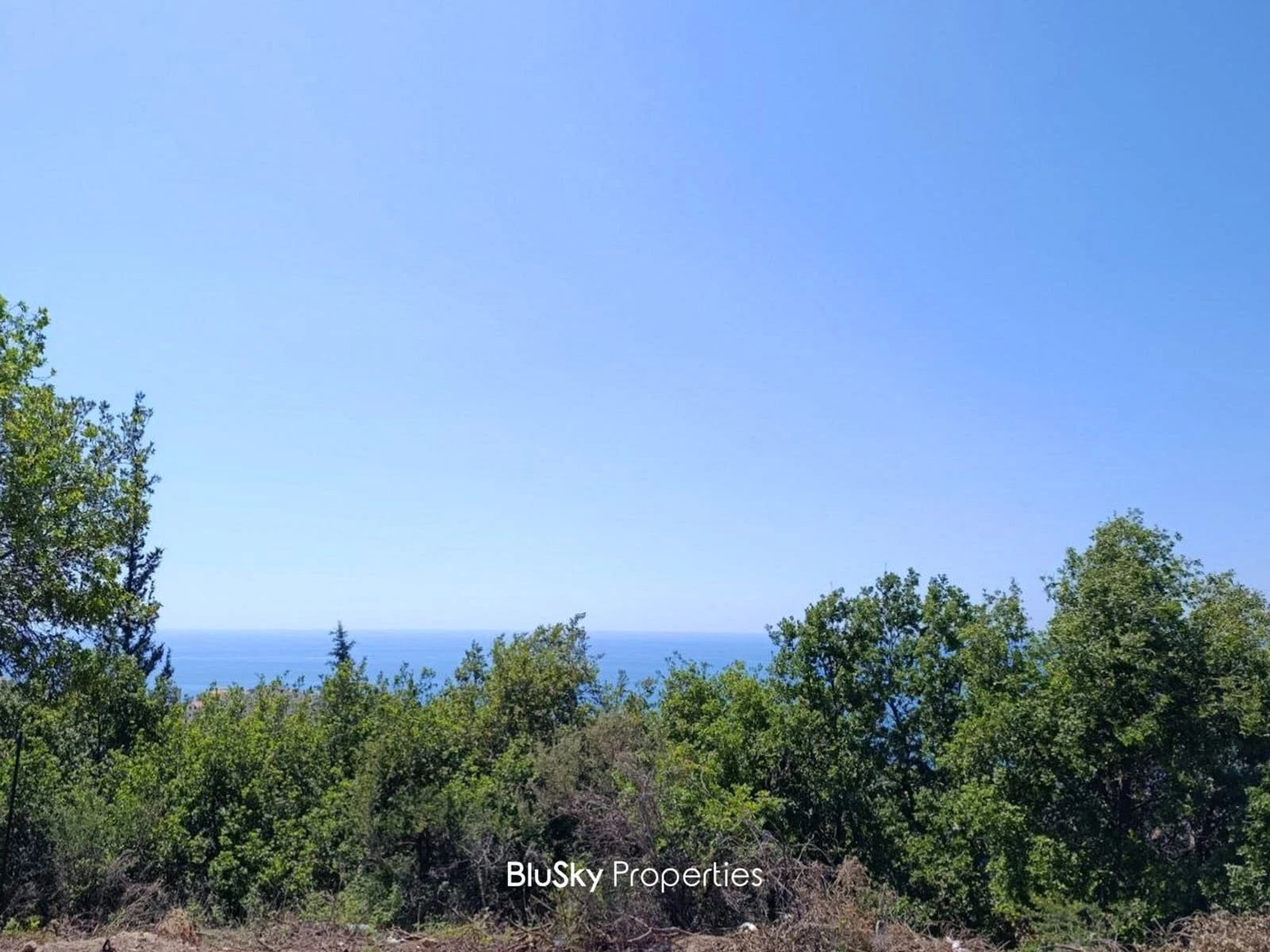 Land 2,600m² for Sale in Safra — الصورة 2