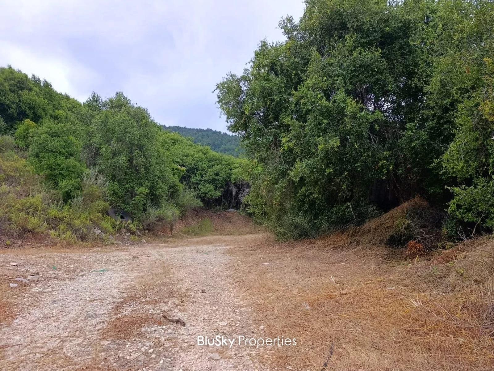 Land 6,583m² for Sale in Safra