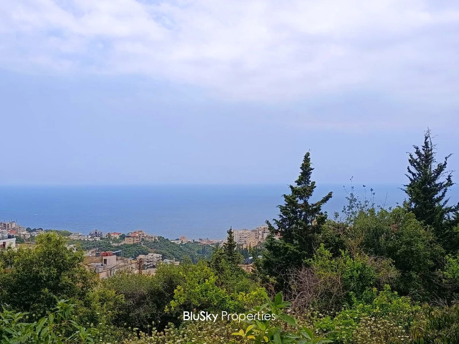 Land 6,583m² for Sale in Safra — photo 2