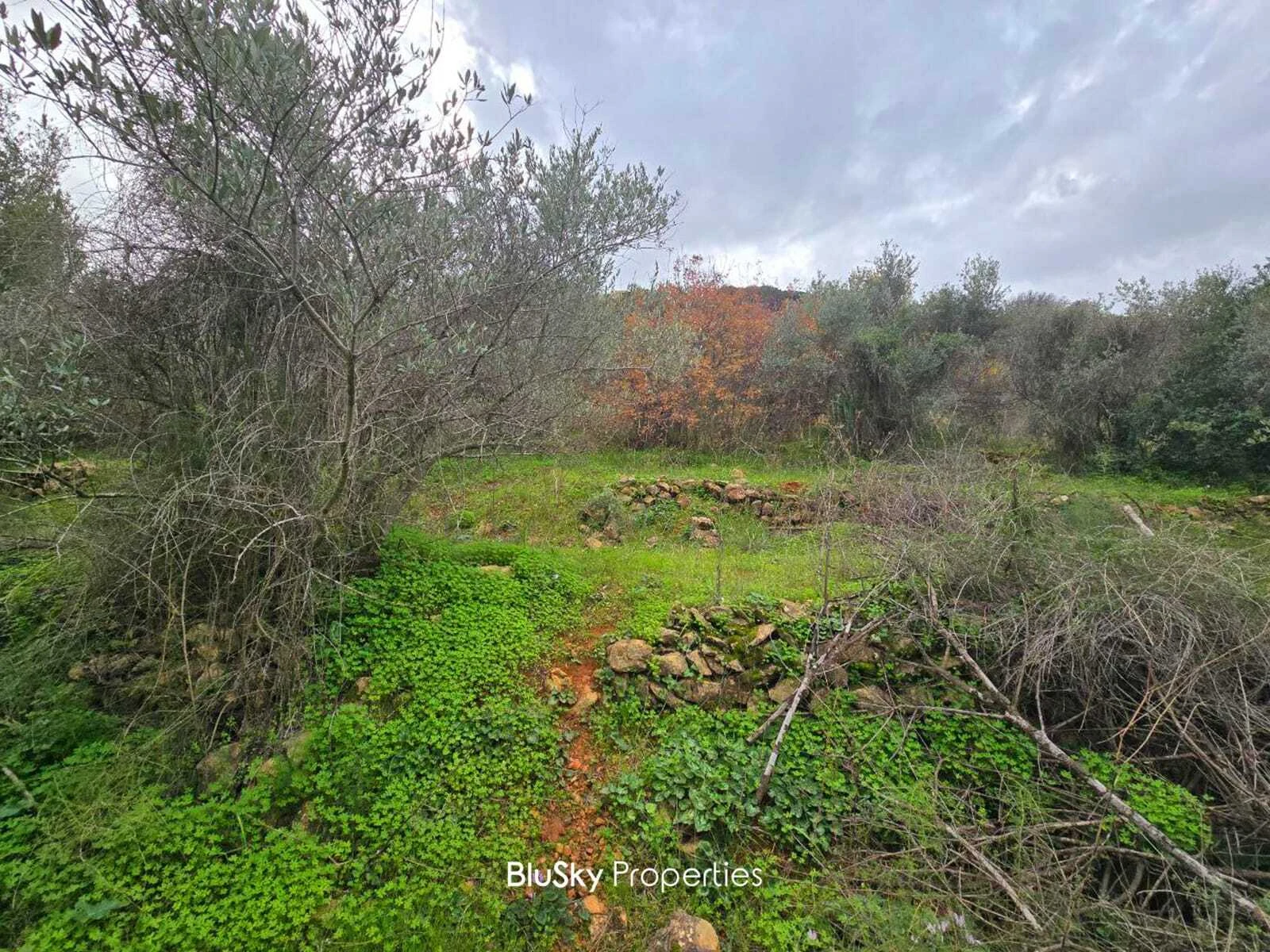 Land 3,650m² for Sale in Wadi Chahrour