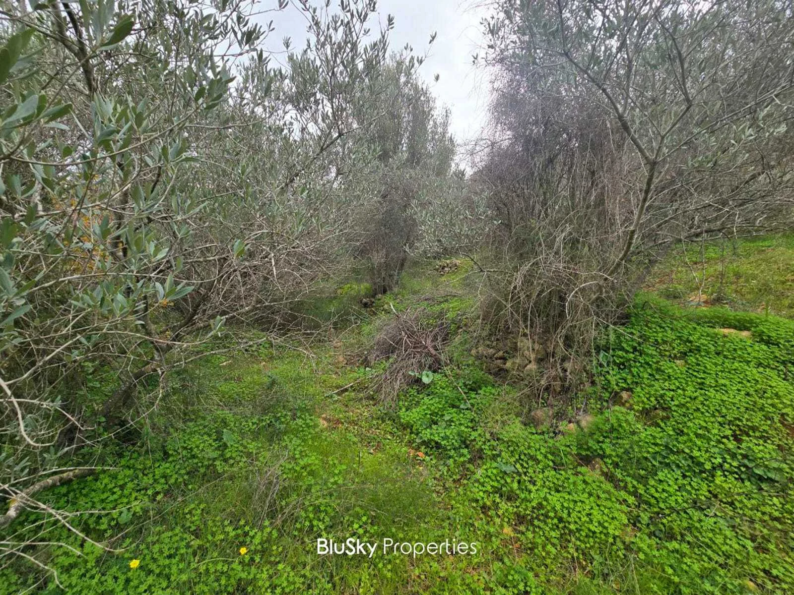 Land 3,650m² for Sale in Wadi Chahrour — الصورة 2