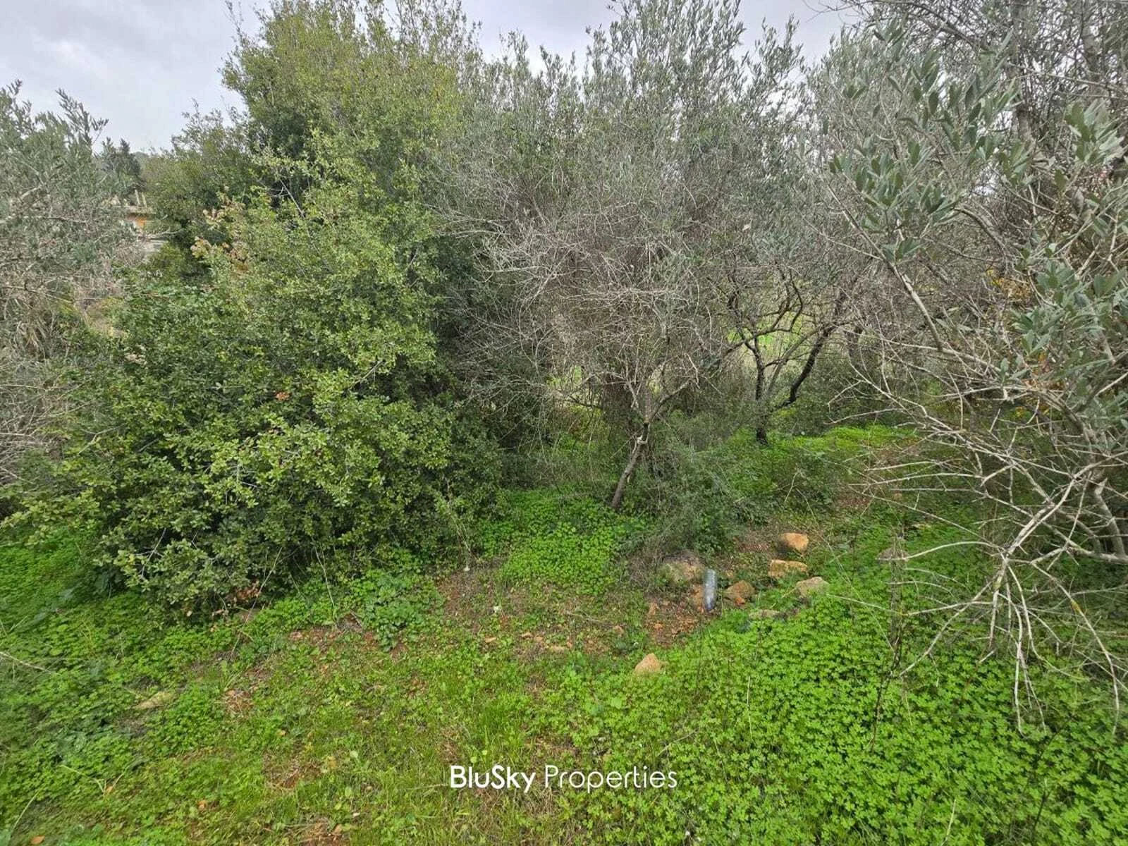 Land 3,650m² for Sale in Wadi Chahrour — الصورة 3