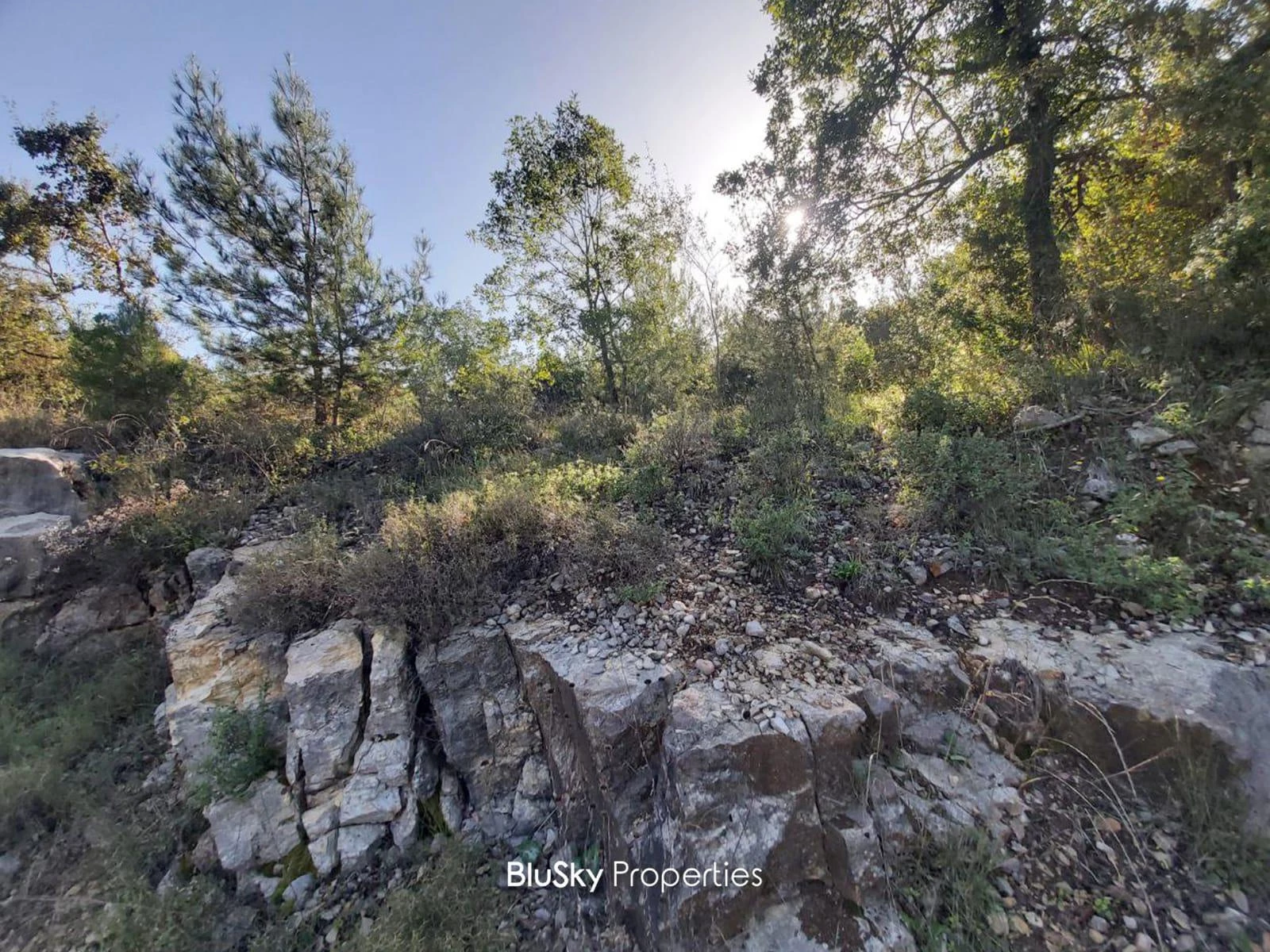 Land 1,030m² for Sale in Zebdine — photo 2