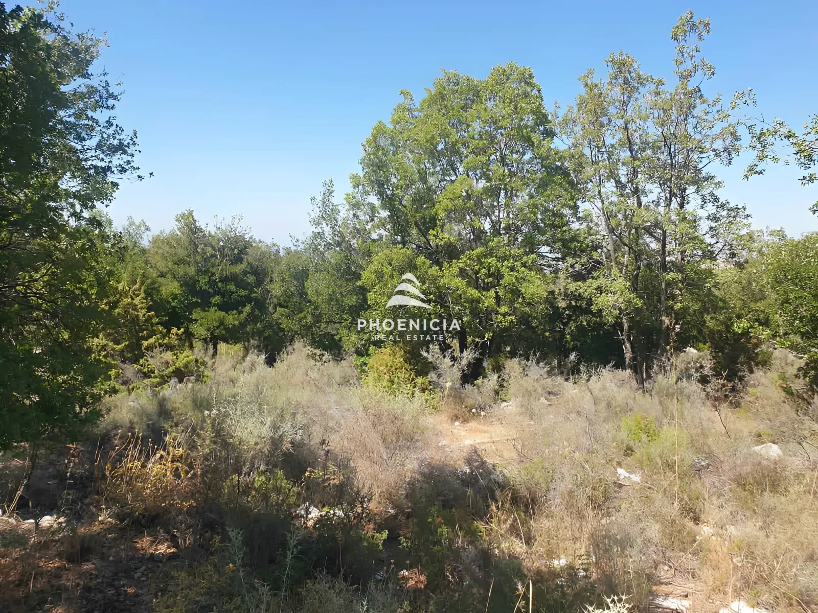 Land for Sale in Mechmech — الصورة 5