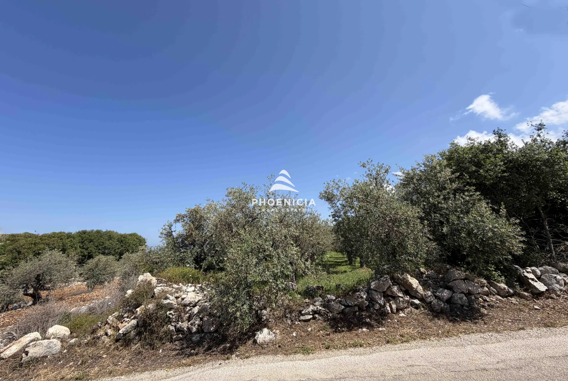 Land for Sale in Monsef — الصورة 2
