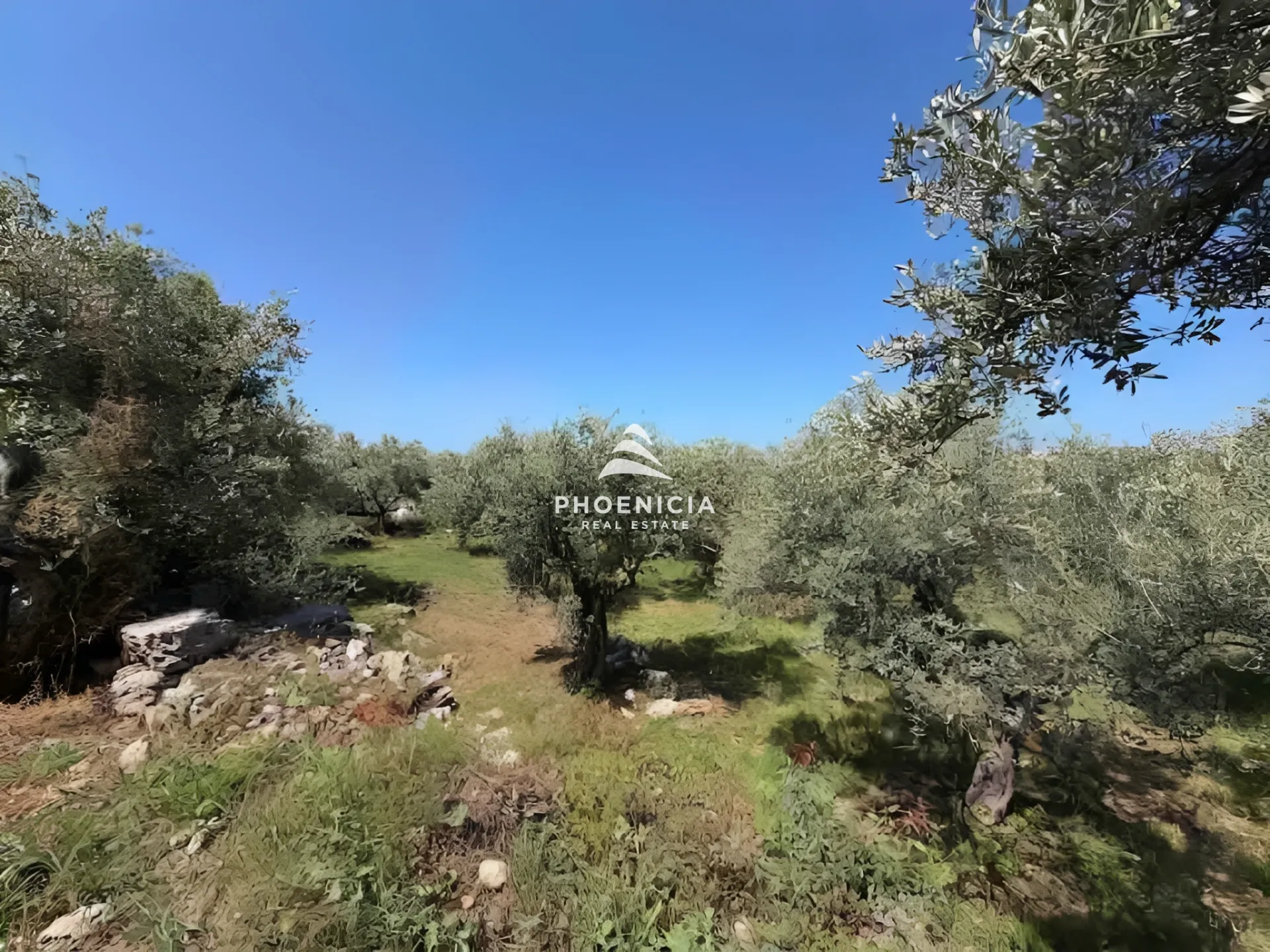 Land for Sale in Monsef — الصورة 5