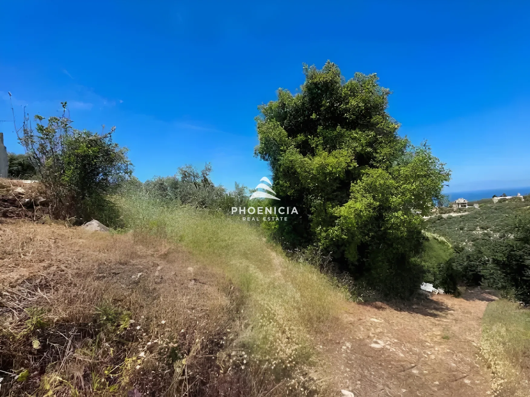 Residential Land for sale in Fghal, Lebanon — الصورة 4