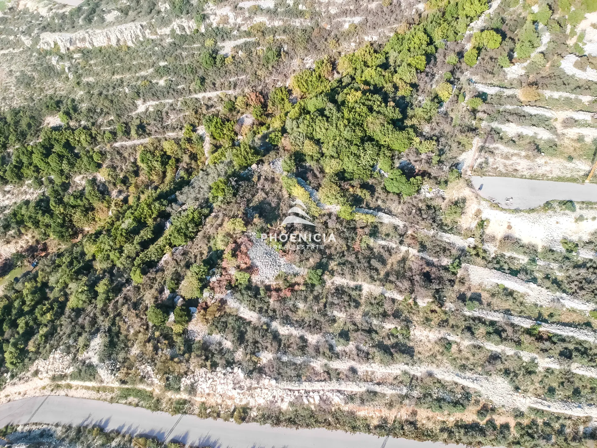 Land for Sale in Gharzouz — الصورة 9