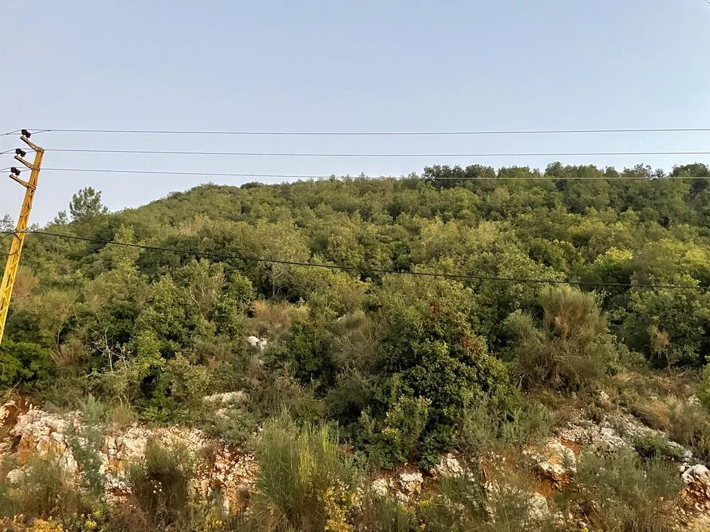 Land for Sale in Haqel, Lebanon — الصورة 4