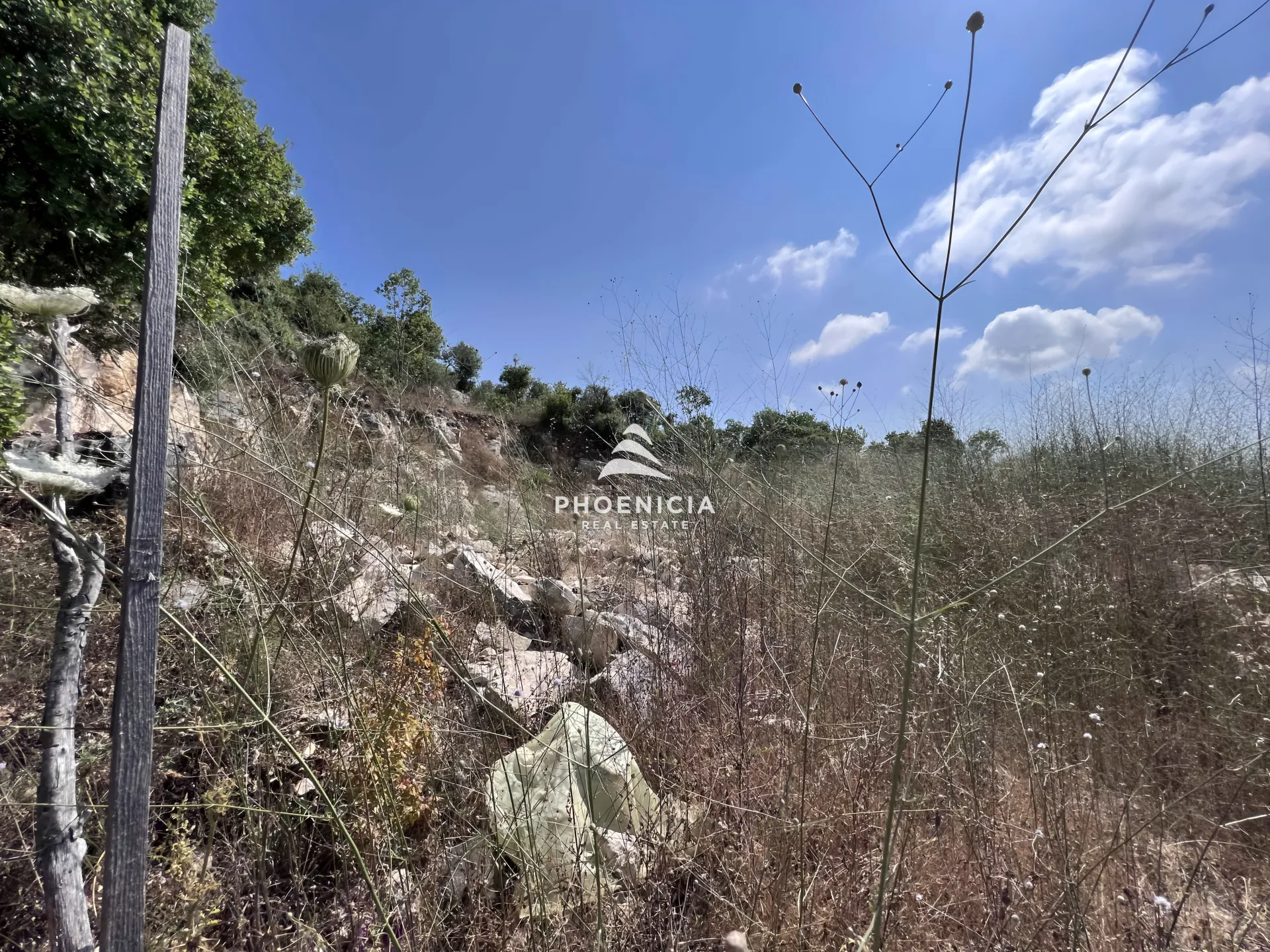 Land for Sale in Gharzouz — الصورة 4