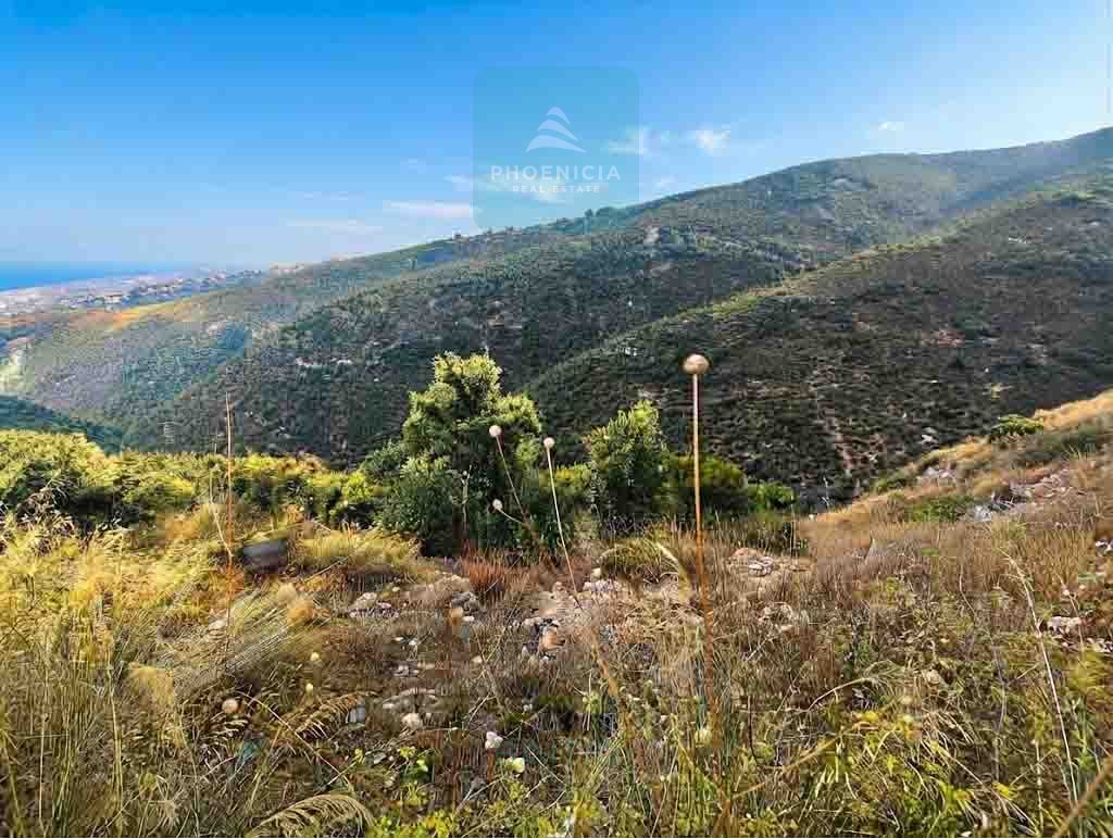 Land For Sale In Breij-Jbeil | أرض للبيع | PLS 26678 — الصورة 2