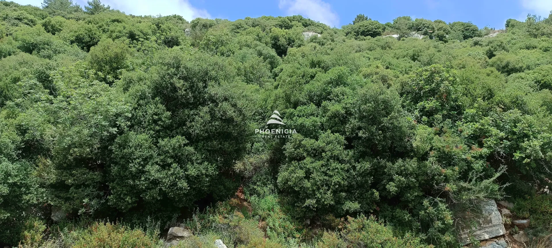 Land for Sale in Blat — الصورة 2