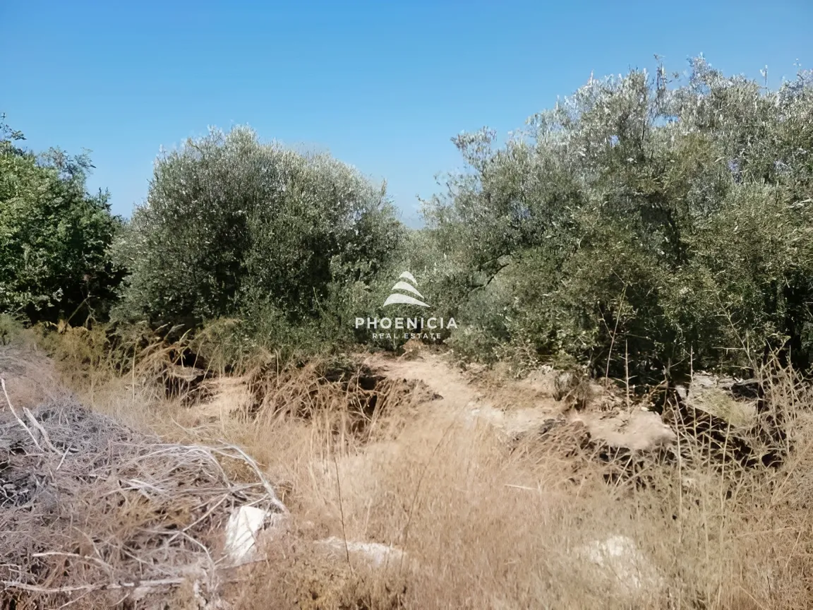 Land for Sale in Monsef — الصورة 19