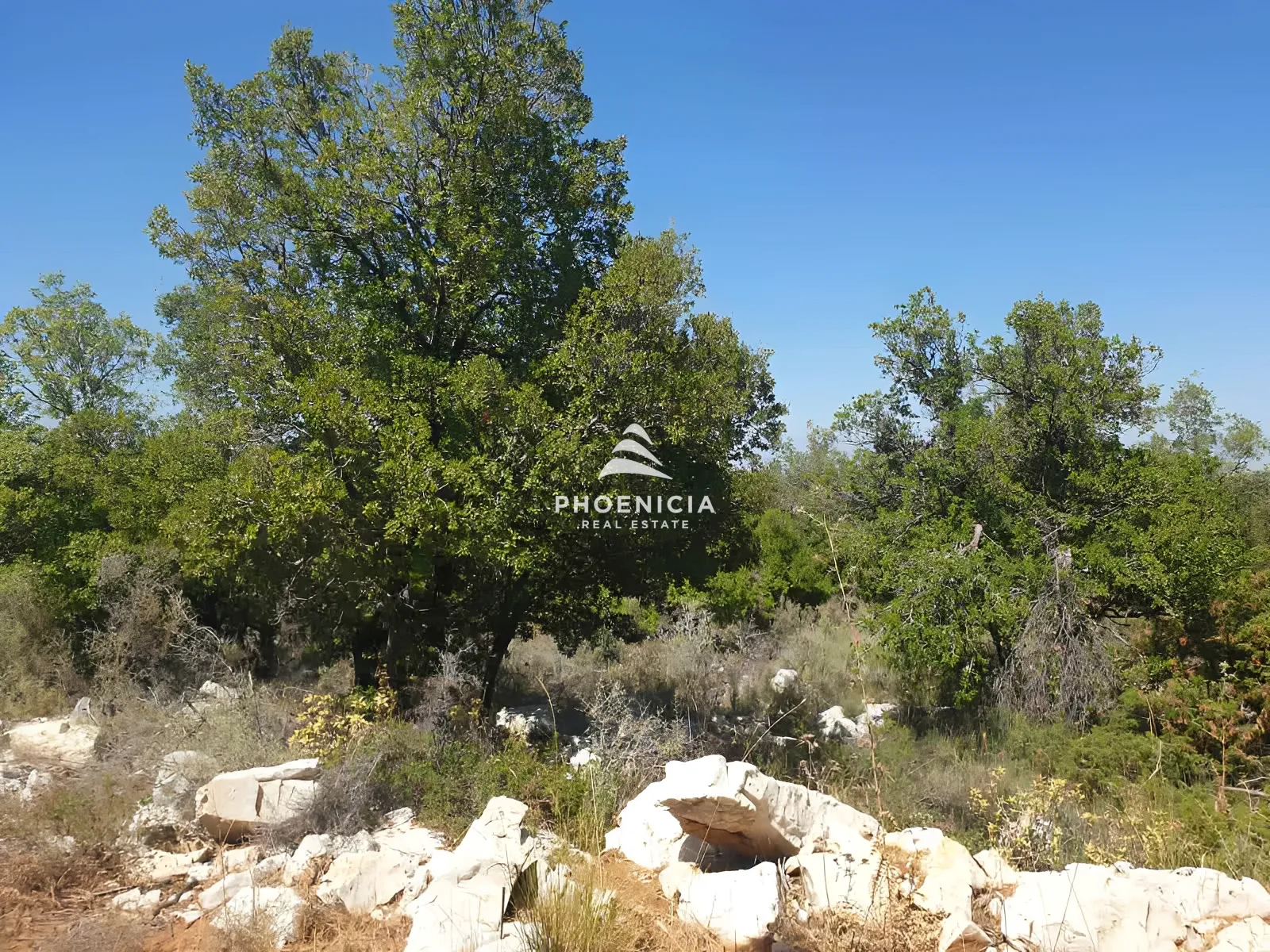 Land for Sale in Mechmech — الصورة 2