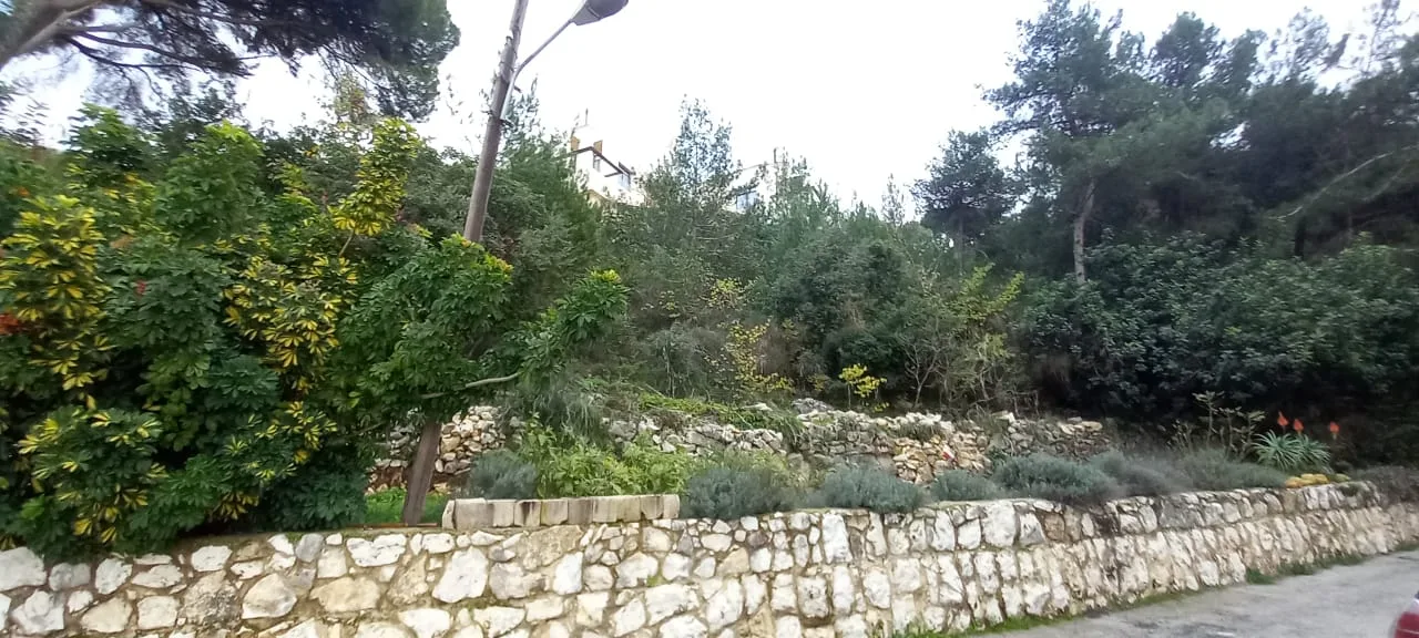 Land for Sale in Delbta, Lebanon