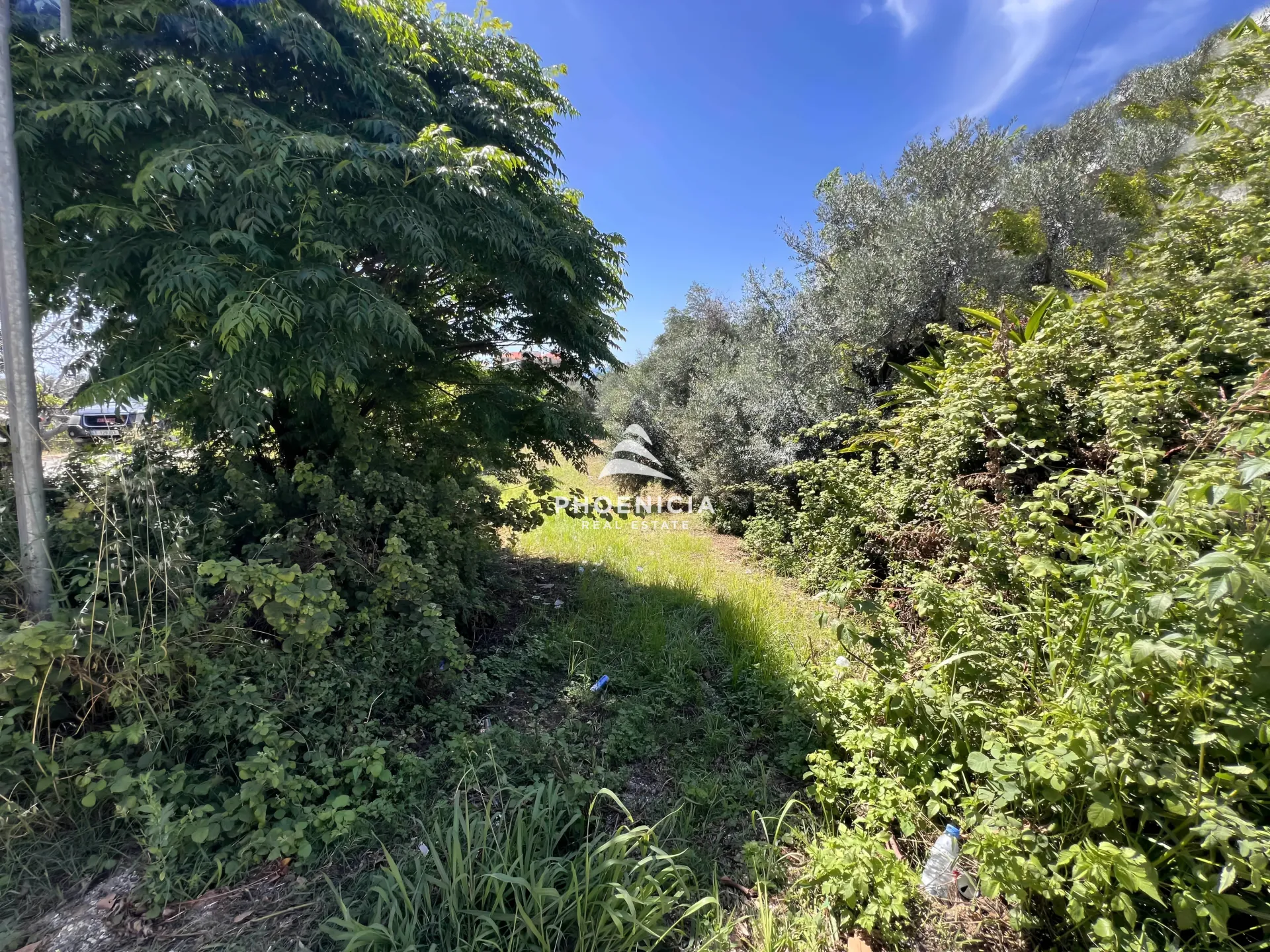 Land for Sale in Batroun — الصورة 6