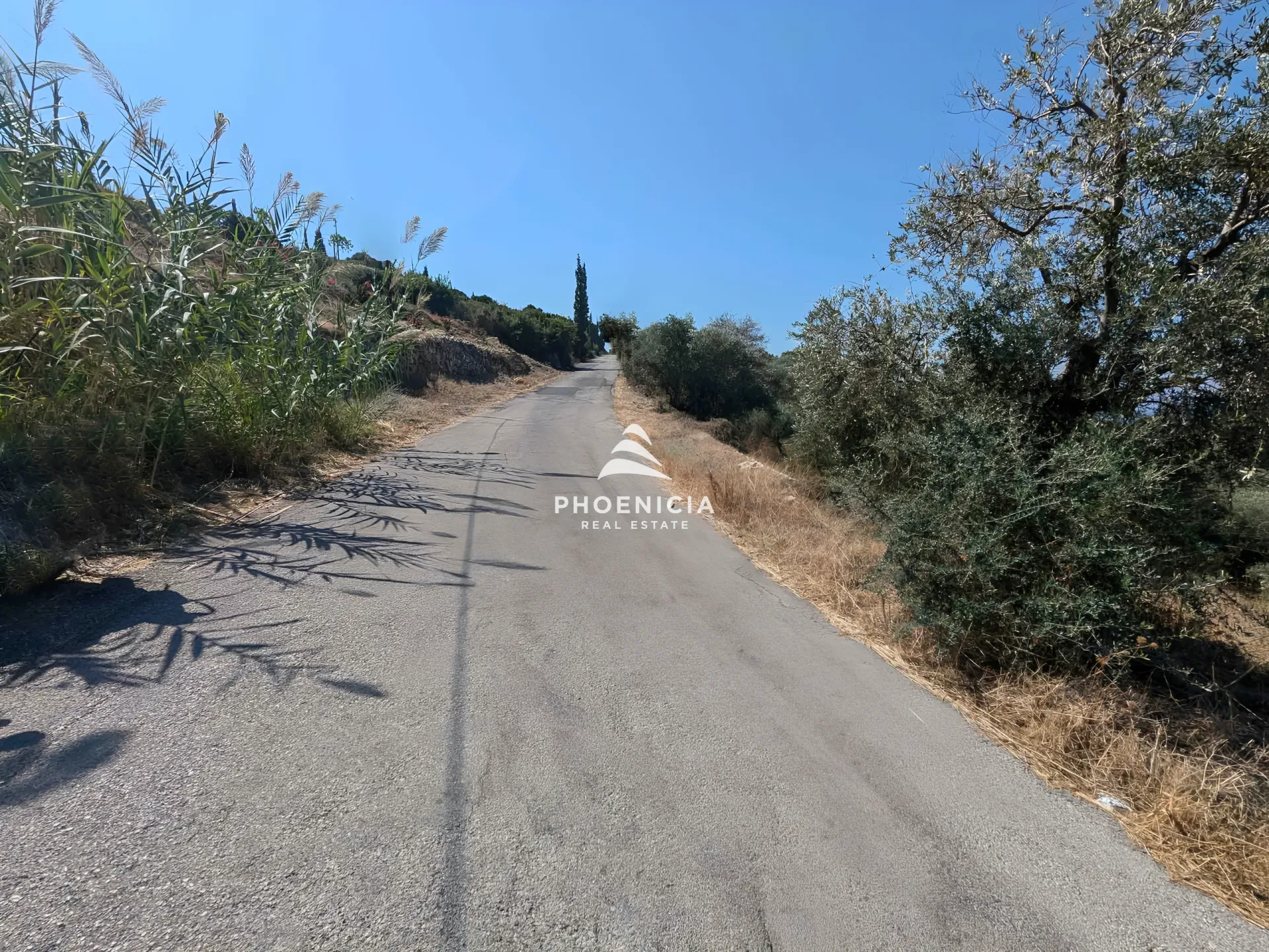 Land for Sale in Kfar Kedah, Lebanon — الصورة 4