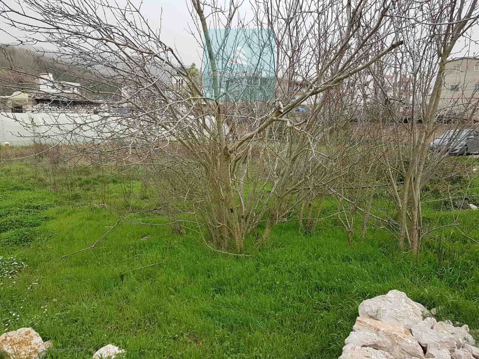 Land For Sale In Ghineh-Kesserwan | أرض للبيع | PLS 26674 — الصورة 2