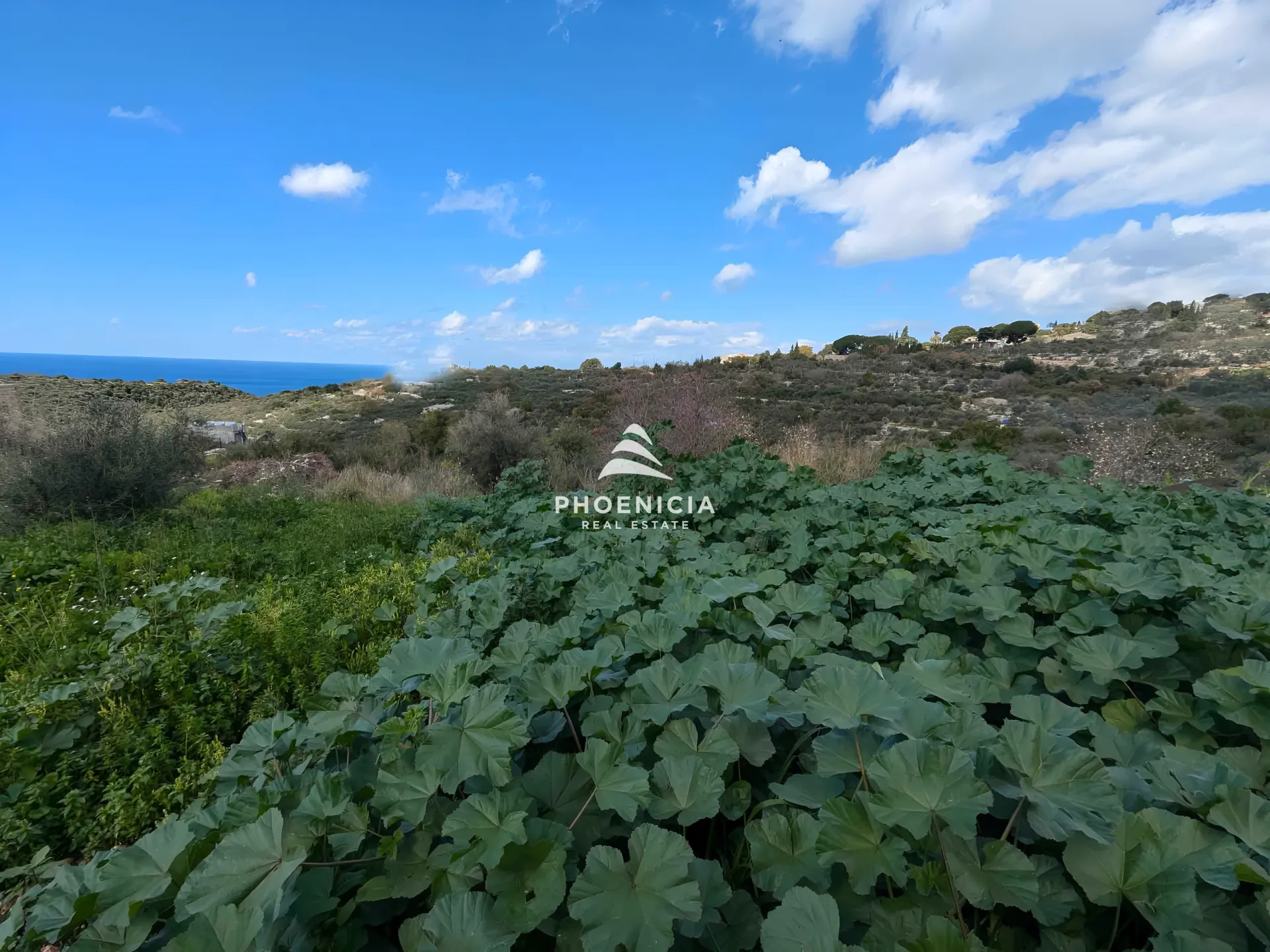 Land for Sale in Chikhane — الصورة 3