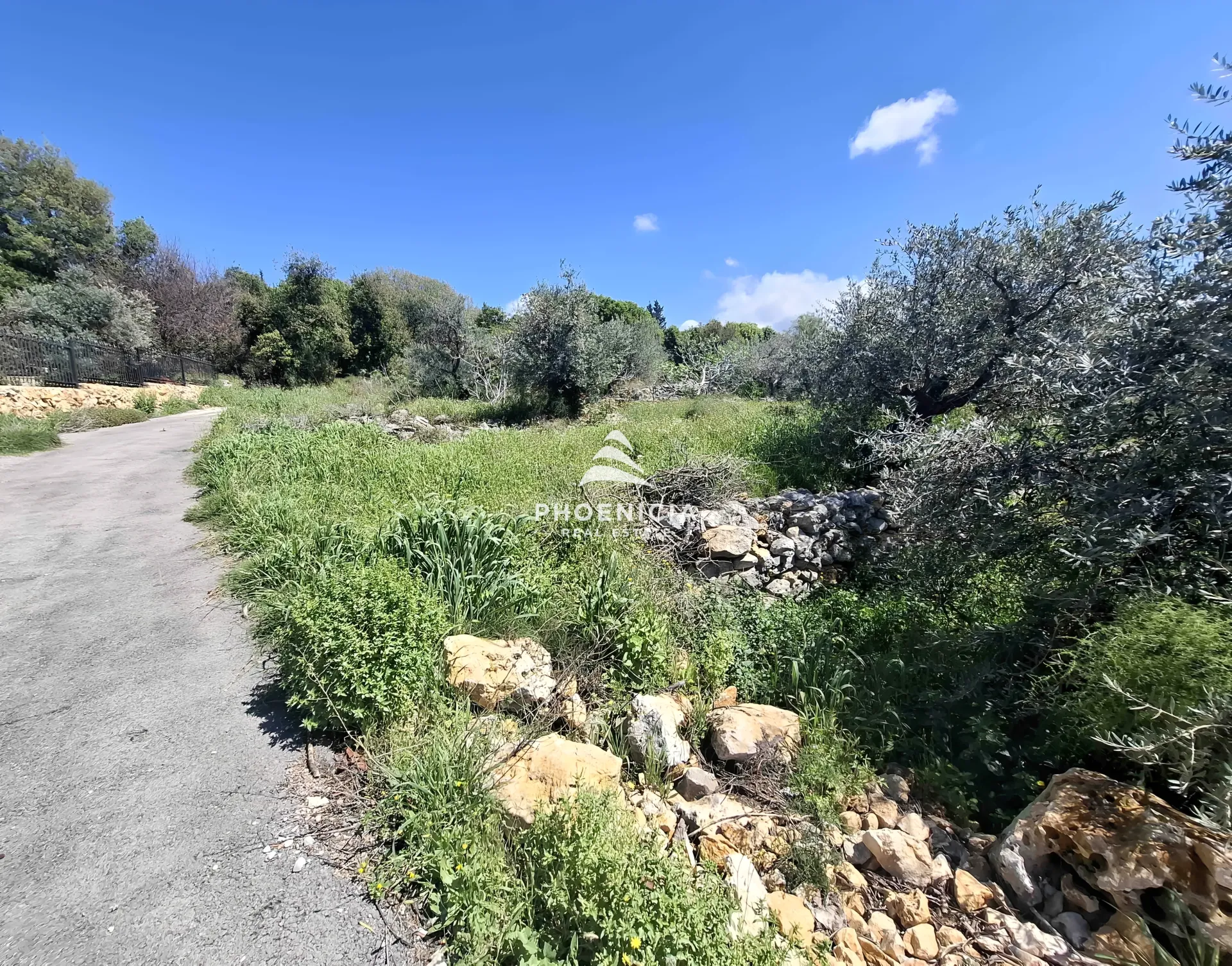 Land for Sale in Monsef — الصورة 10