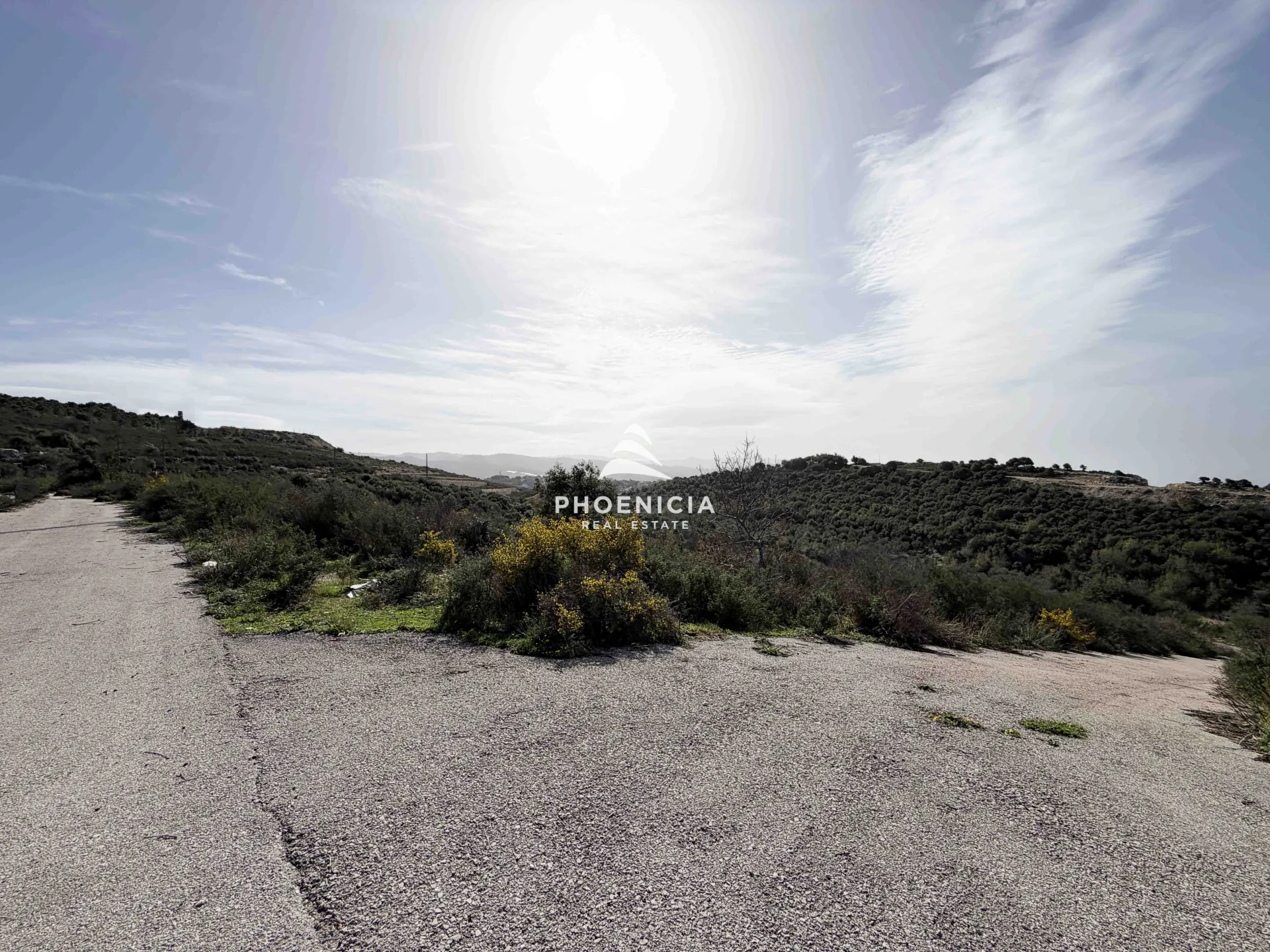 Land for Sale in Gharzouz — الصورة 8