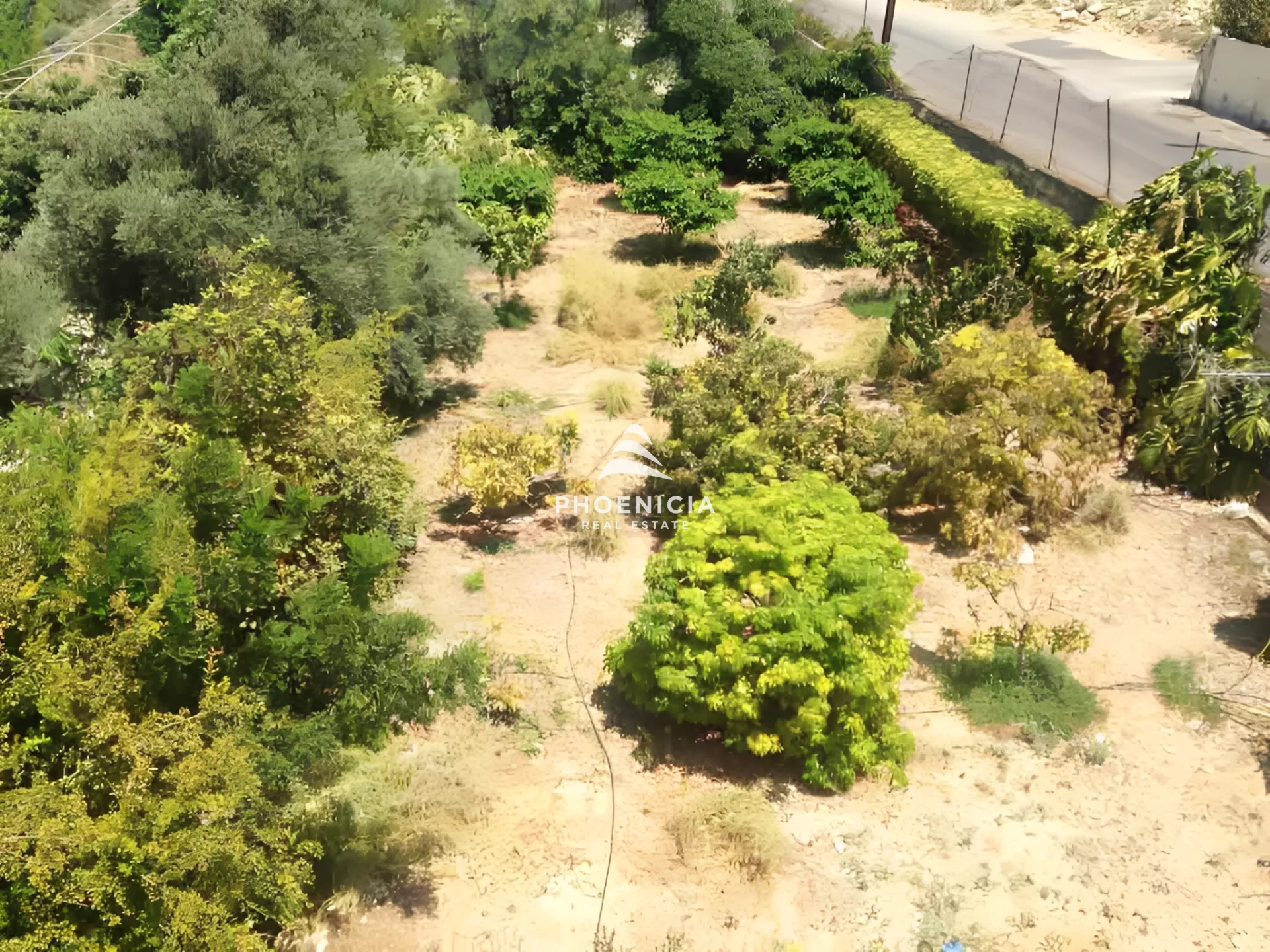 Land for Sale in Blat — الصورة 2