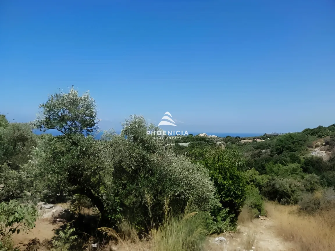 Land for Sale in Monsef — الصورة 6