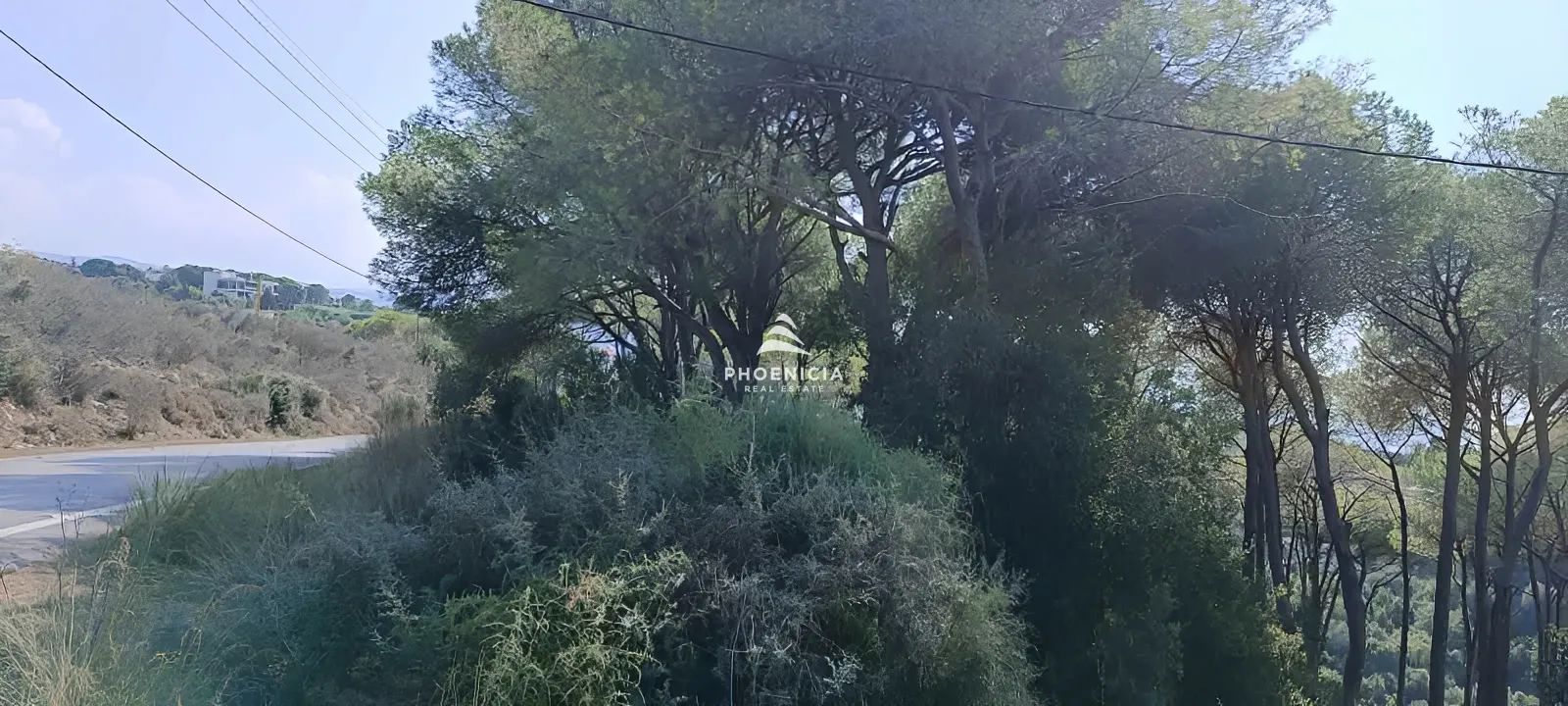 Land for Sale in Gharzouz — الصورة 5